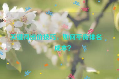 關(guān)鍵詞出價(jià)技巧，如何平衡排名和成本？