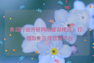 食品行業(yè)外貿(mào)網(wǎng)站建設(shè)規(guī)范，打造國際化在線營銷平臺