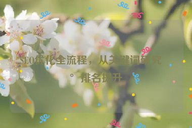 SEO優(yōu)化全流程，從關鍵詞研究到排名提升