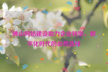 佛山網(wǎng)站建設(shè)助力企業(yè)轉(zhuǎn)型，數(shù)字化時代的必然選擇
