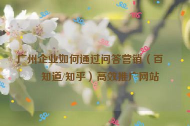廣州企業(yè)如何通過問答營銷（百度知道/知乎）高效推廣網(wǎng)站