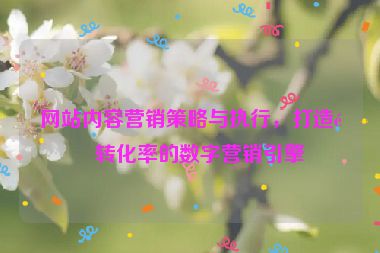 網(wǎng)站內(nèi)容營銷策略與執(zhí)行，打造高轉(zhuǎn)化率的數(shù)字營銷引擎