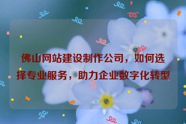 佛山網(wǎng)站建設(shè)制作公司，如何選擇專(zhuān)業(yè)服務(wù)，助力企業(yè)數(shù)字化轉(zhuǎn)型