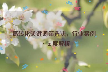 高轉(zhuǎn)化關(guān)鍵詞篩選法，行業(yè)案例深度解析