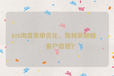 B2B詢盤表單優(yōu)化，如何獲取精準(zhǔn)客戶信息？