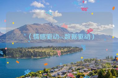 （情感驅(qū)動vs.數(shù)據(jù)驅(qū)動）