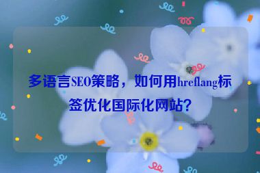 多語言SEO策略，如何用hreflang標(biāo)簽優(yōu)化國(guó)際化網(wǎng)站？