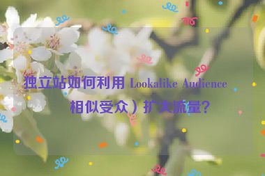 獨(dú)立站如何利用 Lookalike Audience（相似受眾）擴(kuò)大流量？