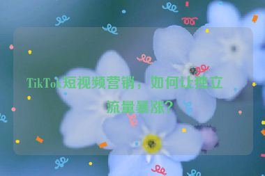 TikTok短視頻營銷，如何讓獨立站流量暴漲？