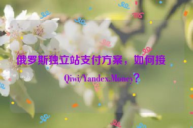俄羅斯獨立站支付方案，如何接入Qiwi/Yandex.Money？