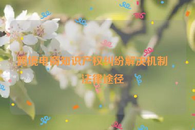 跨境電商知識產(chǎn)權(quán)糾紛解決機(jī)制與法律途徑