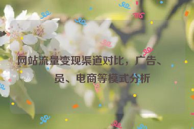 網站流量變現渠道對比，廣告、會員、電商等模式分析