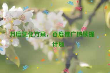 月度優(yōu)化方案，百度推廣持續(xù)提升計劃