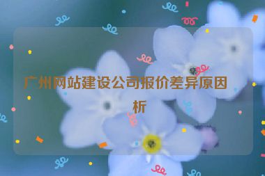 廣州網(wǎng)站建設(shè)公司報價差異原因分析