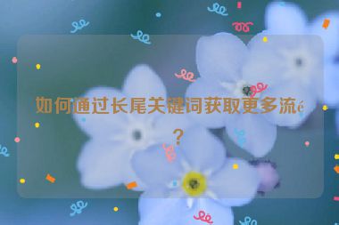如何通過長尾關(guān)鍵詞獲取更多流量？