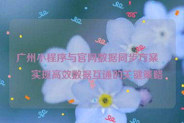廣州小程序與官網(wǎng)數(shù)據(jù)同步方案，實現(xiàn)高效數(shù)據(jù)互通的關鍵策略