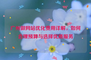 廣州做網(wǎng)站優(yōu)化費用詳解，如何合理預(yù)算與選擇優(yōu)質(zhì)服務(wù)