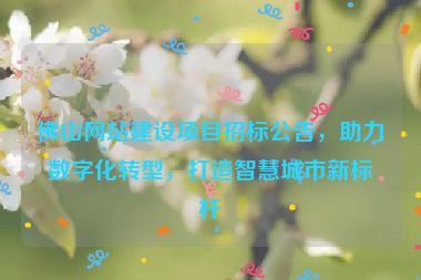 佛山網(wǎng)站建設(shè)項(xiàng)目招標(biāo)公告，助力數(shù)字化轉(zhuǎn)型，打造智慧城市新標(biāo)桿