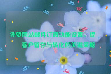 外貿(mào)網(wǎng)站郵件訂閱功能設(shè)置，提升客戶留存與轉(zhuǎn)化的關(guān)鍵策略