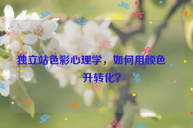獨(dú)立站色彩心理學(xué)，如何用顏色提升轉(zhuǎn)化？