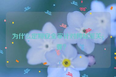 為什么定期安全審計對網(wǎng)站至關(guān)重要？