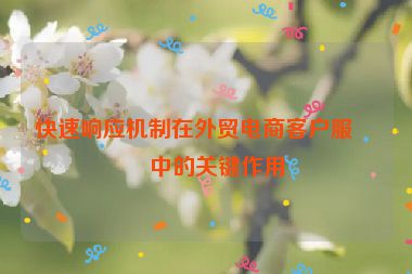 快速響應(yīng)機(jī)制在外貿(mào)電商客戶服務(wù)中的關(guān)鍵作用