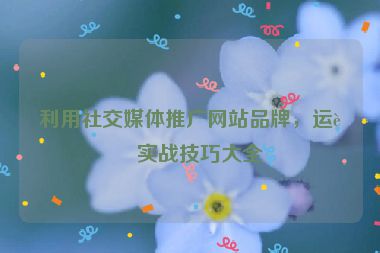 利用社交媒體推廣網(wǎng)站品牌，運(yùn)營(yíng)實(shí)戰(zhàn)技巧大全