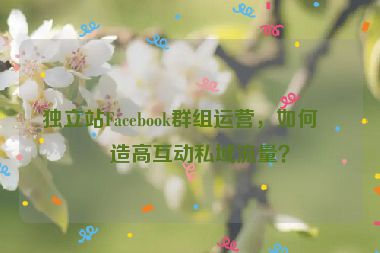 獨(dú)立站Facebook群組運(yùn)營(yíng)，如何打造高互動(dòng)私域流量？