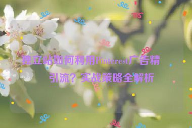獨(dú)立站如何利用Pinterest廣告精準(zhǔn)引流？實(shí)戰(zhàn)策略全解析