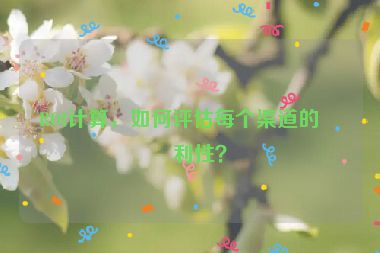 ROI計算，如何評估每個渠道的盈利性？