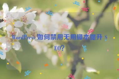 WordPress 如何禁用無用腳本提升 SEO？