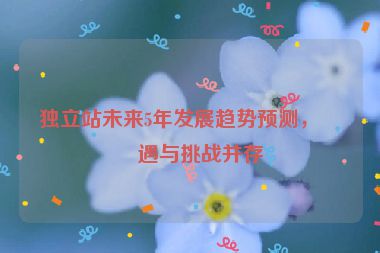 獨(dú)立站未來(lái)5年發(fā)展趨勢(shì)預(yù)測(cè)，機(jī)遇與挑戰(zhàn)并存