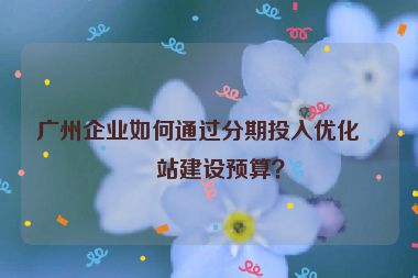 廣州企業(yè)如何通過(guò)分期投入優(yōu)化網(wǎng)站建設(shè)預(yù)算？