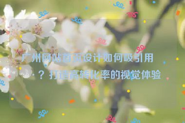 廣州網(wǎng)站首頁(yè)設(shè)計(jì)如何吸引用戶？打造高轉(zhuǎn)化率的視覺(jué)體驗(yàn)