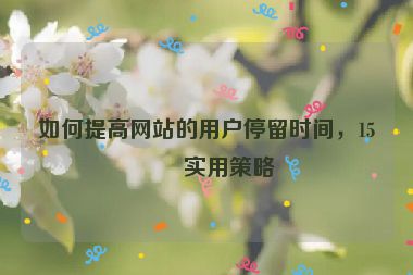 如何提高網(wǎng)站的用戶停留時(shí)間，15個(gè)實(shí)用策略