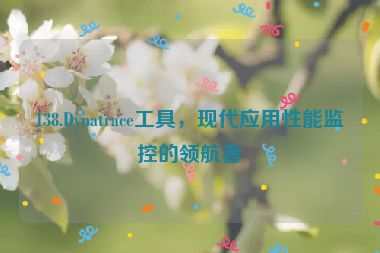 138.Dynatrace工具，現(xiàn)代應(yīng)用性能監(jiān)控的領(lǐng)航者