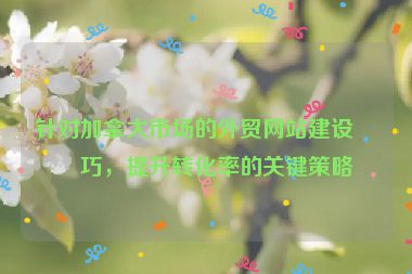 針對加拿大市場的外貿(mào)網(wǎng)站建設(shè)技巧，提升轉(zhuǎn)化率的關(guān)鍵策略