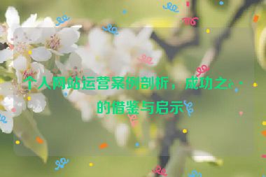 個人網(wǎng)站運營案例剖析，成功之路的借鑒與啟示