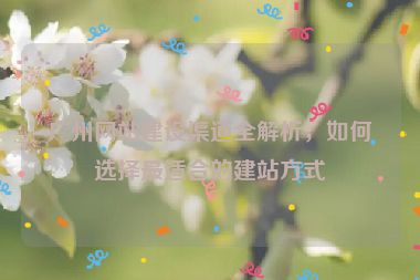 廣州網(wǎng)站建設(shè)渠道全解析，如何選擇最適合的建站方式