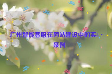 廣州智能客服在網(wǎng)站建設中的實踐案例