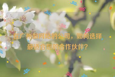 在廣州做網(wǎng)站的公司，如何選擇最適合您的合作伙伴？