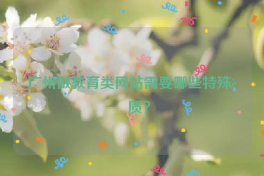 廣州做教育類網(wǎng)站需要哪些特殊資質(zhì)？