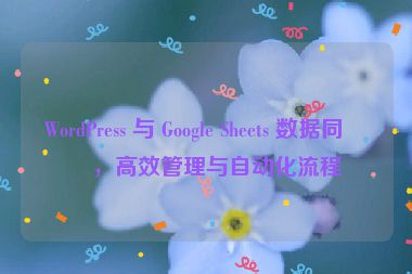 WordPress 與 Google Sheets 數(shù)據(jù)同步，高效管理與自動(dòng)化流程