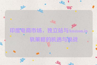 印度電商市場，獨(dú)立站與Amazon.in雙軌策略的機(jī)遇與挑戰(zhàn)