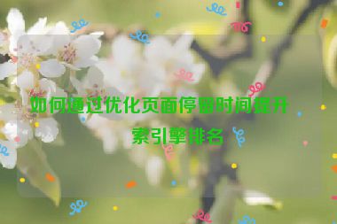 如何通過優(yōu)化頁面停留時間提升搜索引擎排名