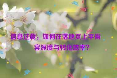 信息過載，如何在落地頁上平衡內(nèi)容深度與轉(zhuǎn)化效率？