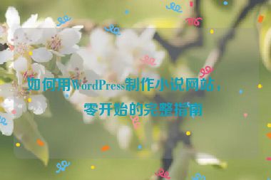 如何用WordPress制作小說網站，從零開始的完整指南