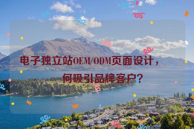 電子獨立站OEM/ODM頁面設計，如何吸引品牌客戶？
