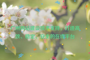廣州網(wǎng)站建設(shè)技術(shù)支持，打造高效、穩(wěn)定、安全的在線平臺