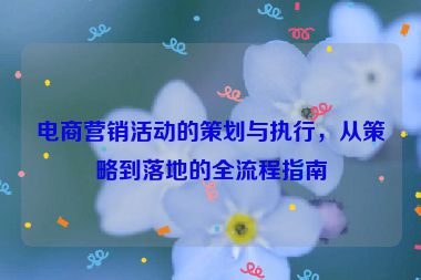 電商營(yíng)銷活動(dòng)的策劃與執(zhí)行，從策略到落地的全流程指南